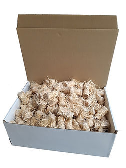 Waxlings 250 Box (1).jpg