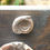 Thumbnail: Ammonites on a display