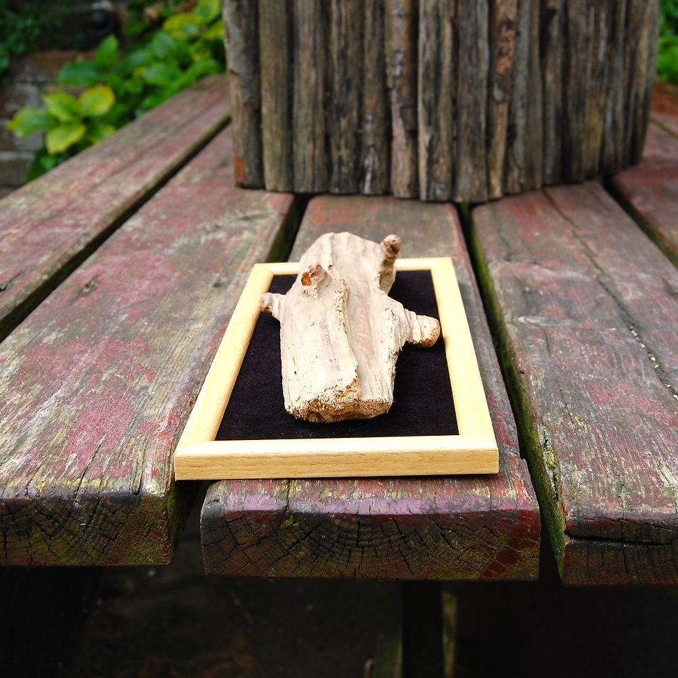 Thumbnail: Seven sisters driftwood art