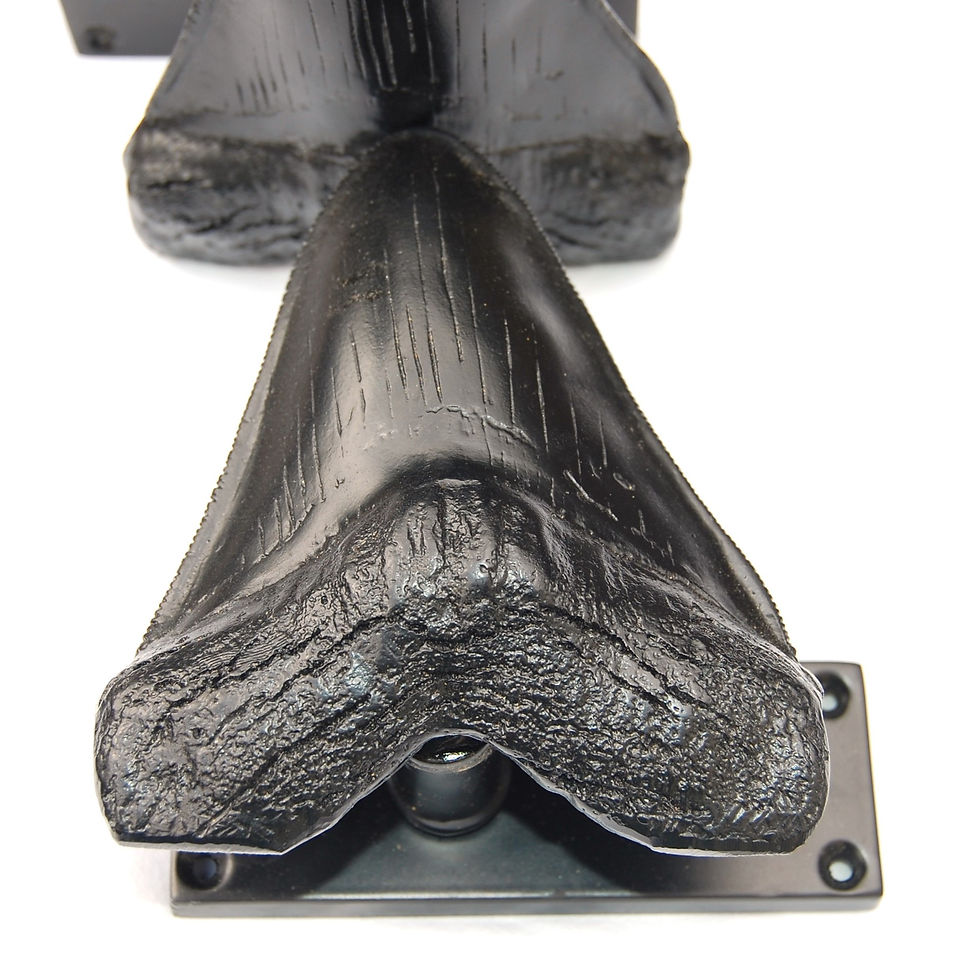 Thumbnail: Megalodon shark teeth door handles