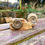 Thumbnail: Hildoceras and Dactylioceras display on driftwood