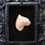 Thumbnail: Shark tooth in small frame