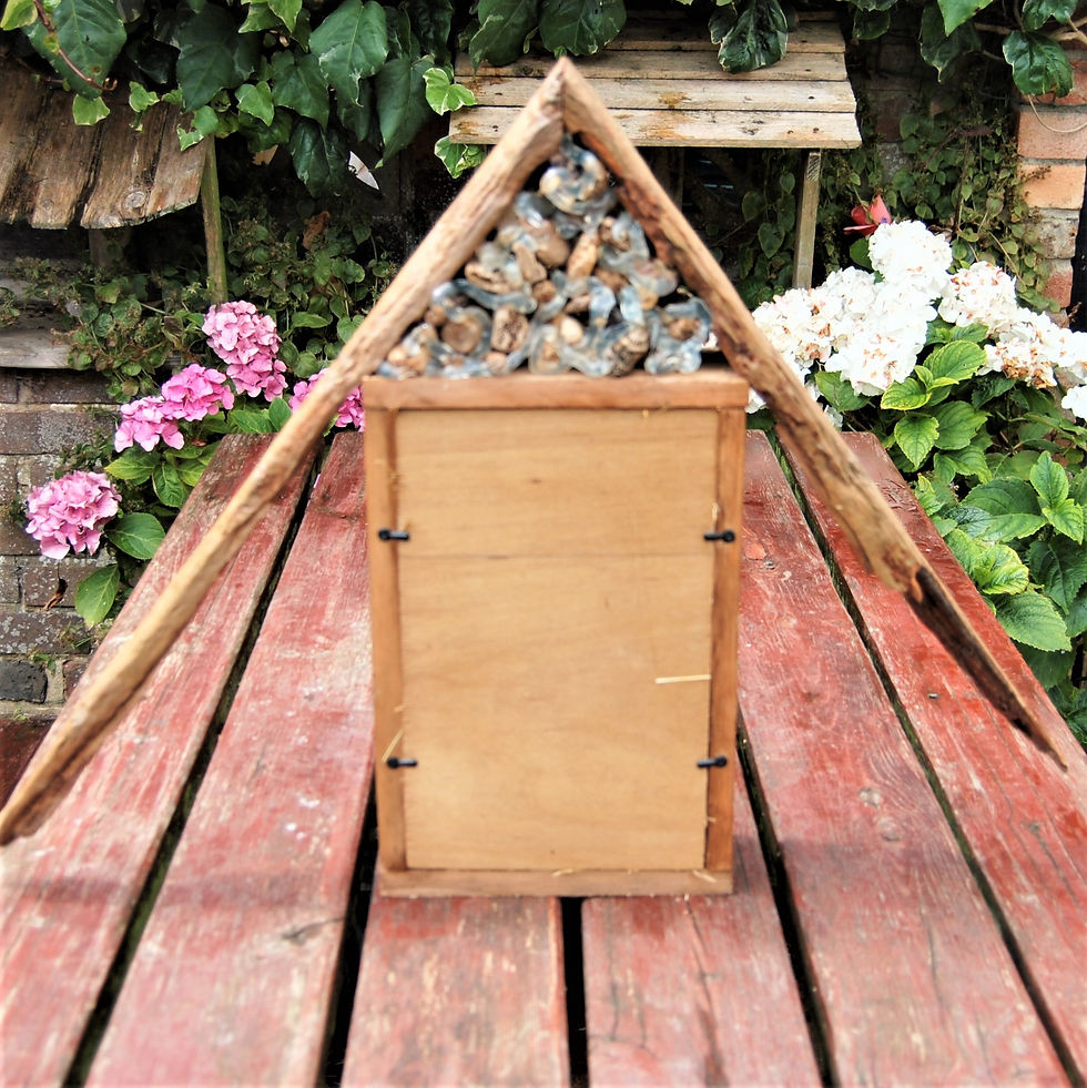 Thumbnail: Insect/bug/bee house with drift wood roof