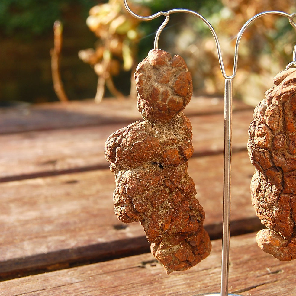 Thumbnail: Hanging coprolite (poo tree!)