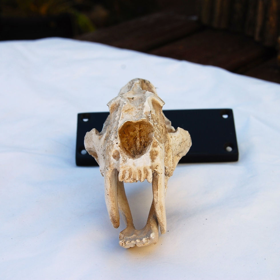 Thumbnail: Replica jaw door handle