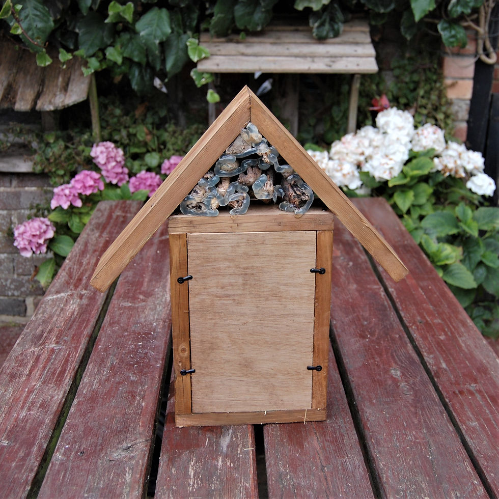 Thumbnail: Insect/bug/bee house
