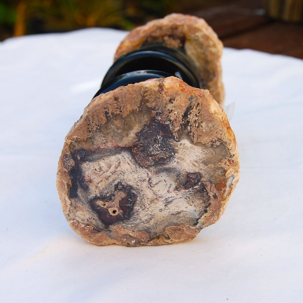 Thumbnail: Fossilised wood door knob