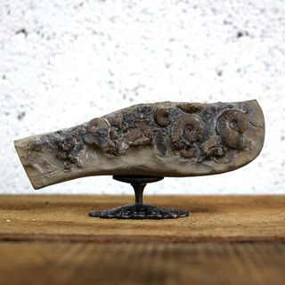 Eleganticeris on metal stand