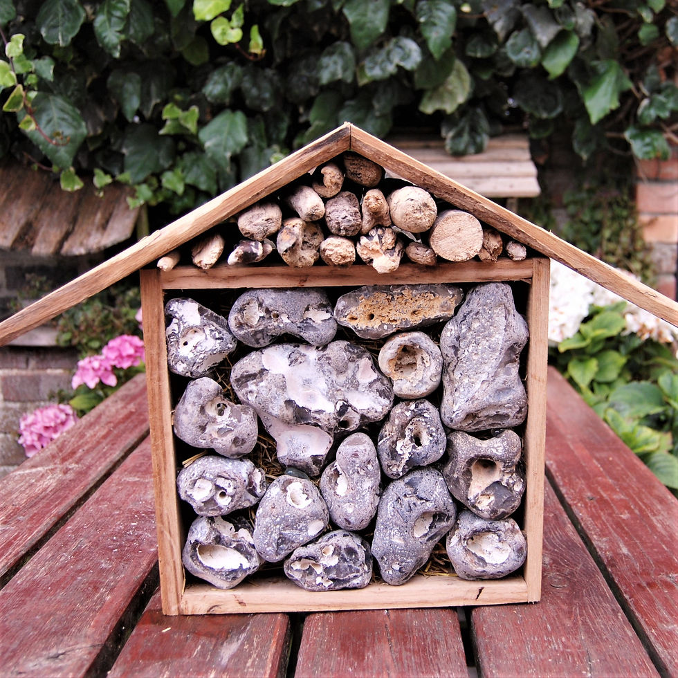 Thumbnail: Oak insect/bug/bee house