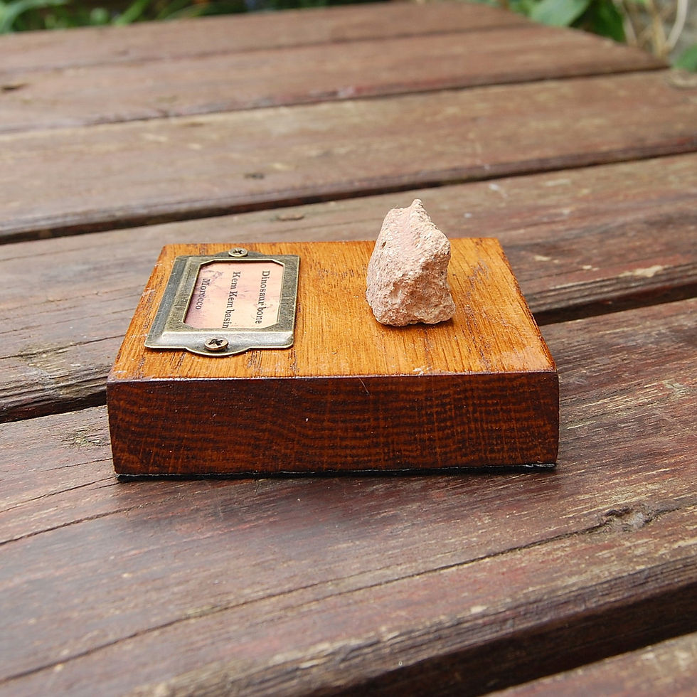 Thumbnail: Dinosaur bone