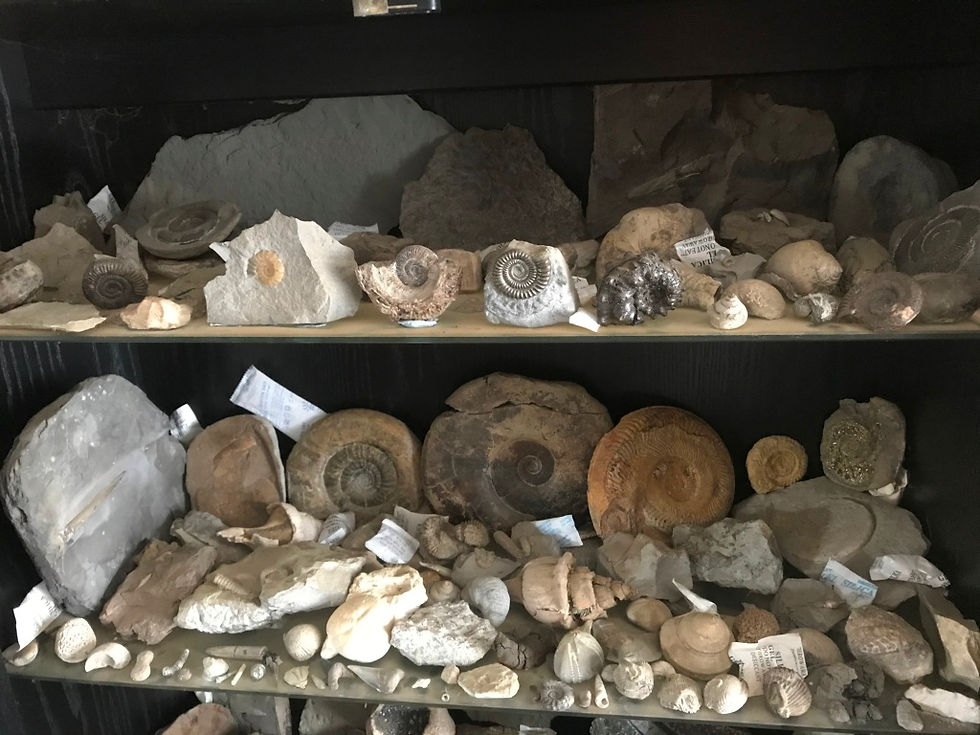 Some of my collection from all over the UK