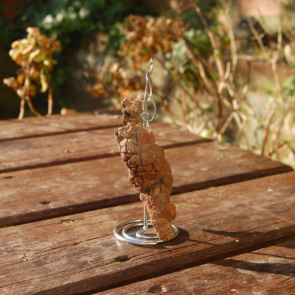 Thumbnail: Hanging coprolite