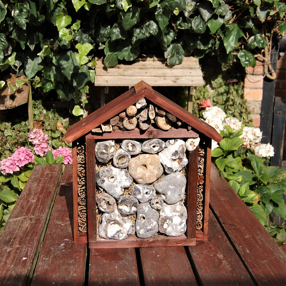 Thumbnail: Insect/bug/bee house