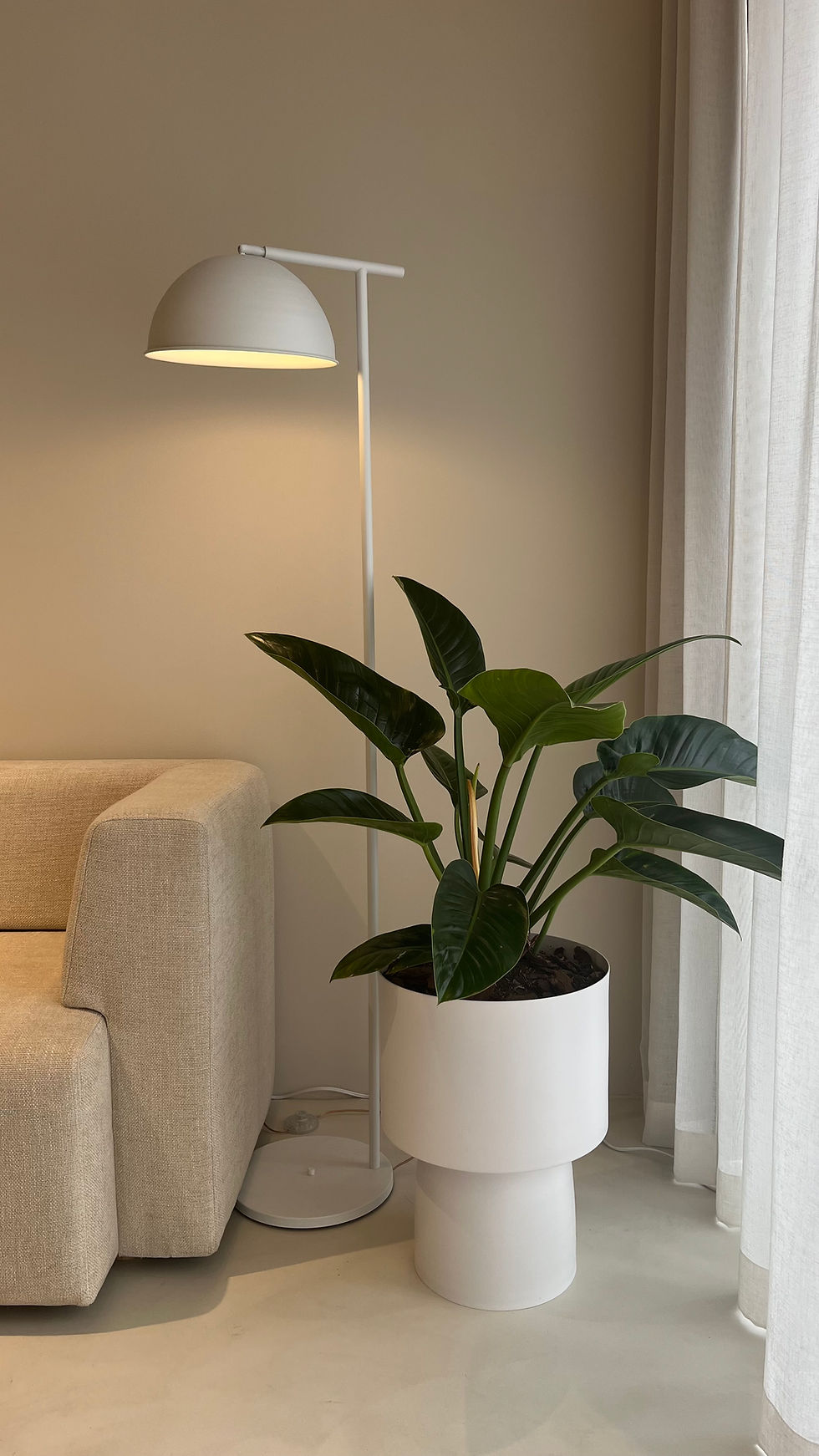 Miniatura: Matera FIORA MEDIA Nº 2