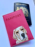 Thumbnail: Passport cover 