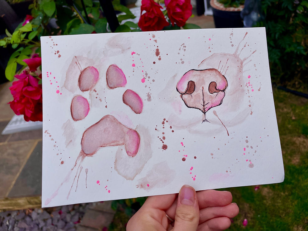 Thumbnail: Paws & snouts paintings 