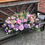 Thumbnail: Funeral Flowers