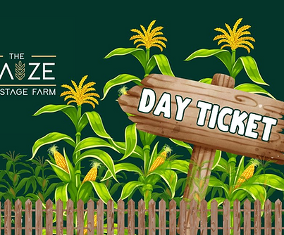 Day Ticket.png