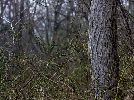 6 Signs of an Emotionally Abusive Relationship