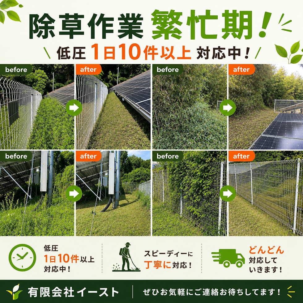 🌿☀️ 除草作業 繁忙期です！ ☀️🌿