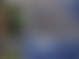 3/21 パネル洗浄を実施いたしました☀️✨