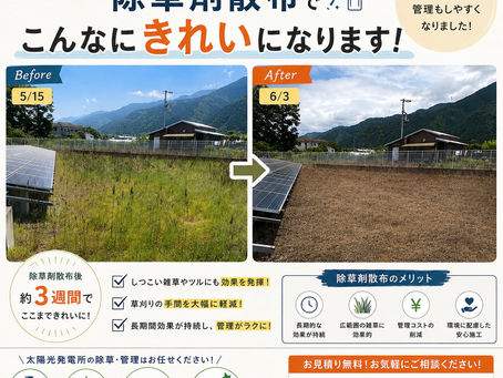 5月15日に除草剤を散布した発電所の様子です📷