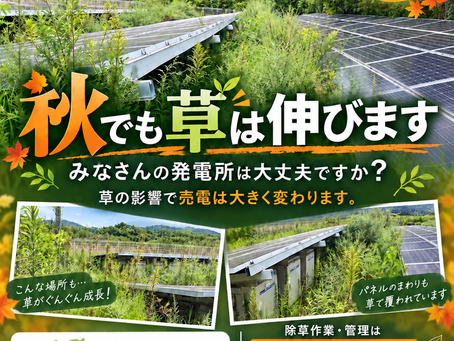 「草は今年はもう大丈夫かな?」と思っている発電所も、一度チェックしてみませんか