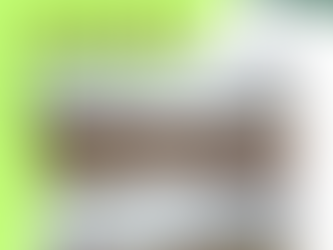 太陽光除草・点検42件/Day17