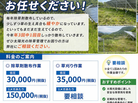 今治市吉海にて除草剤散布作業を行っております🌱⛑️