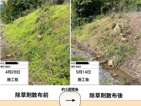 4/28〜5/14 愛媛県東温市 低圧×2
