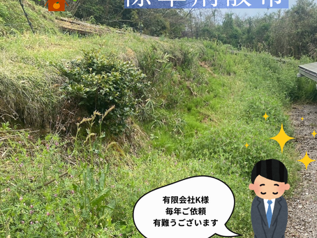 【現場】愛媛県西予市(16.5kw)除草剤散布作業