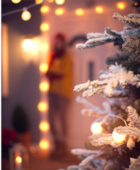 Downeast Fair logo pic 2025.png