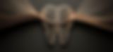 upscmolarmindsbanner_edited_edited.jpg