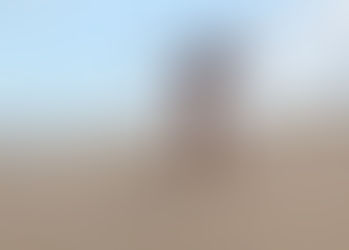 Trabalho Fotográfico - Thata Luz