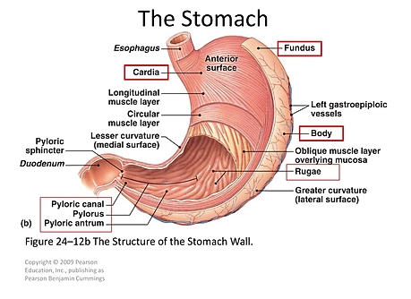 Chiropractic First Sioux City