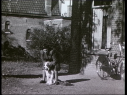 Local Transport was a Saint Bernard