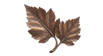 Gemini_Generated_Image_1mfh871mfh871mfh_edited.png