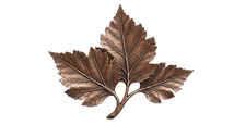 Gemini_Generated_Image_1k3uwz1k3uwz1k3u_edited.png