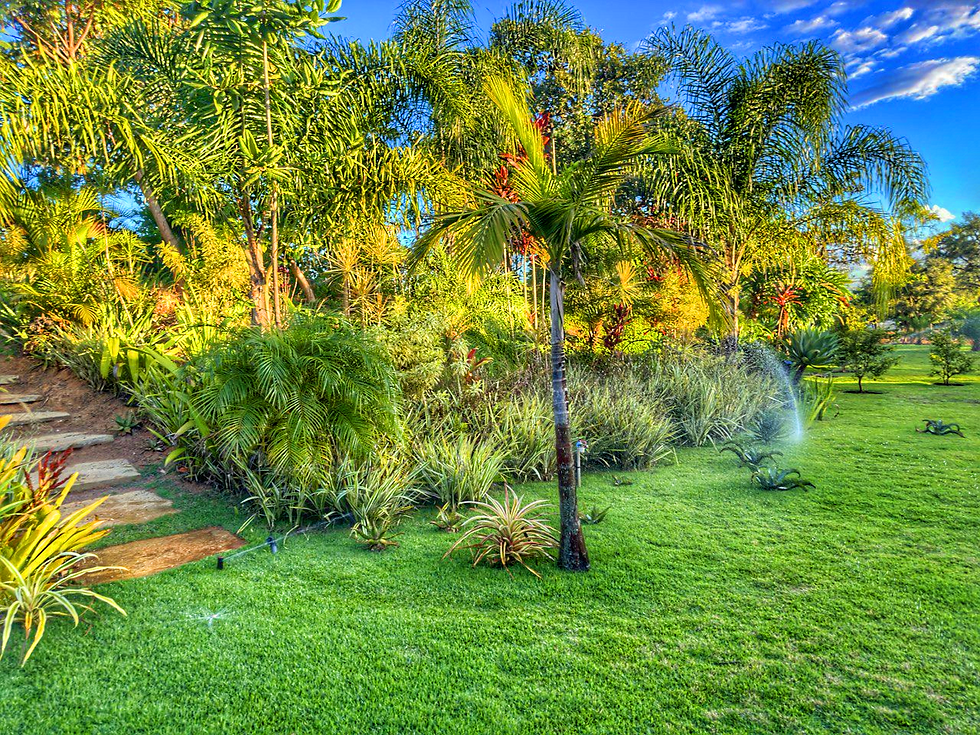 jardim claudio01.png