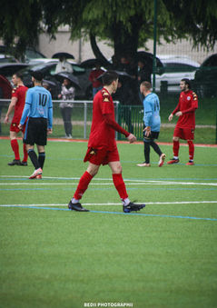 IMG_7206.jpg