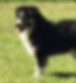 45414393-F4CD-4E07-BDCE-4F5CD73E7AA1_4_5005_c.jpeg