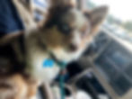 E877C784-14A6-45F0-BDA8-BCD6D7ADBE5D_1_105_c.jpeg