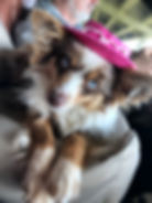 D4840C52-DFD1-4AF3-A52F-E36F67012D0A_1_105_c.jpeg
