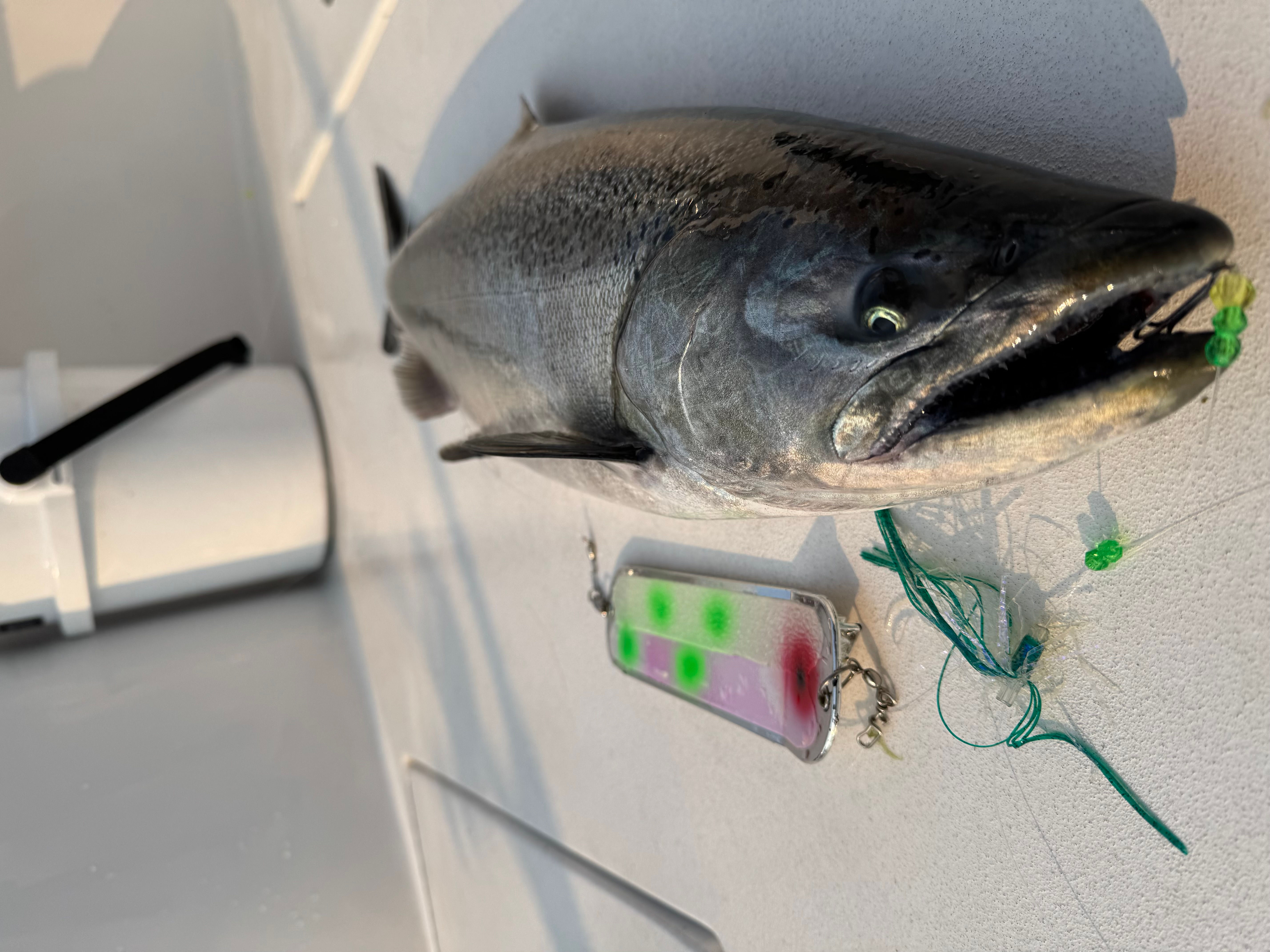 St. Joe Salmon School Both Days January 31, Feb. 1, 2026