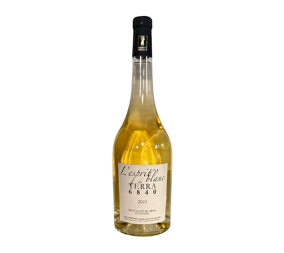 L'Esprit Blanc De Terra 6840 Côtes Du Rhône blanc 2023 - Agri Bio 13,5% vol
