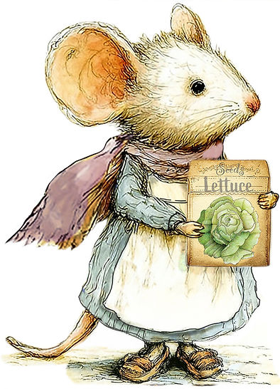 Mouse with Seeds_Final.jpg