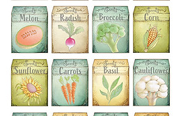 Garden Seed Poster_6.jpg
