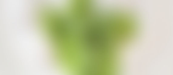 Utlysning av fondsmidler NSE