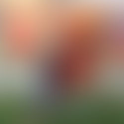 Acadiana Dance Month Recap!