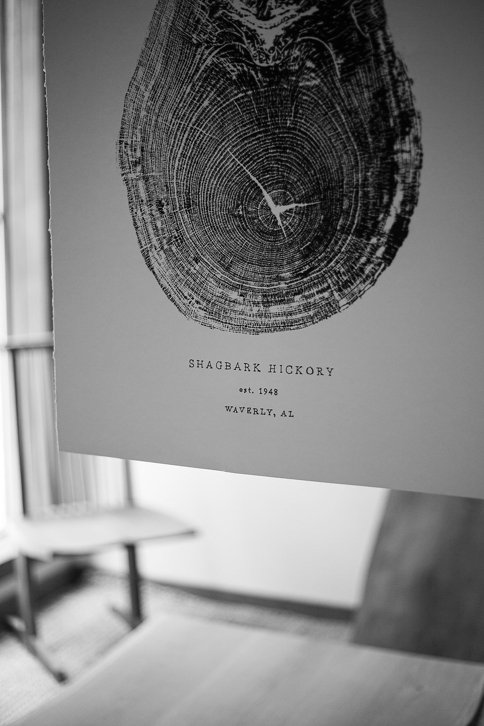 Thumbnail: Shagbark Hickory
